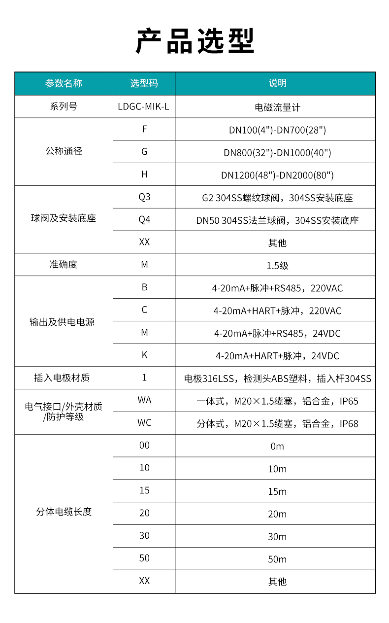 LDGC-MIK-L插入式電磁流量計(QT).jpg